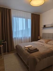 Apartament Wysoka