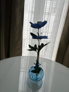 Apartamento Castillo San Marcos