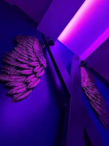 Suite crazin Love Room, jacuzzi, cinéma, Camargue