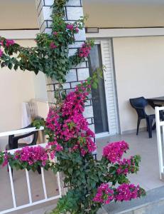 Bella Terra Nature Living