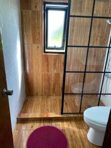 Casa chalet pácelas Frutillar