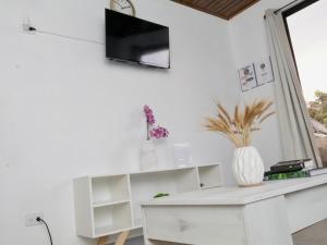 PURA VIDA AIRPORT STAY FREE SHUTTLe