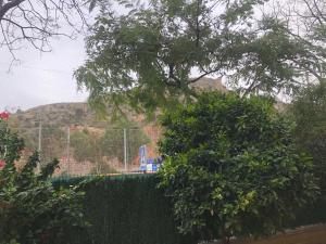 Bonito apartamento con jardín, piscina y aparcamiento gratuito