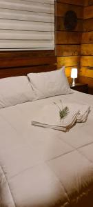 Eco lodge mediterraneas