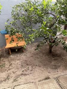 Casa em MaracaipePorto de Galinhas