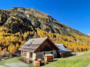 Chalet prestige 14 pers au pied des pistes