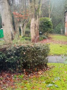 Luxury Stylish 2-Bed Apart with Office Pvt Entrance and Free Parking