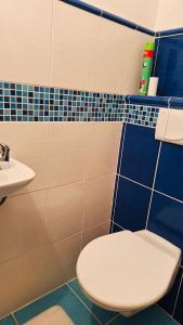 Rodinný apartmán Raisovka