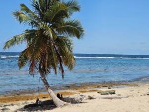 Apartamentos La Mina