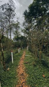 Finca Hotel Yamboró