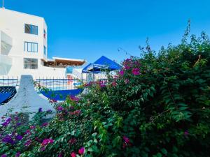 Cabaña 65 El Descanso Doradal