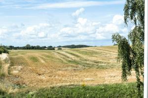 Sjæl I En 100 År Gammel Villa På Langeland