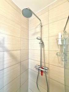 Cozy Antwerp Stay in Historical City Centre & University