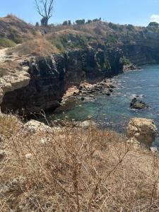 La Rose sur la Mer Two-room apartment with sea view