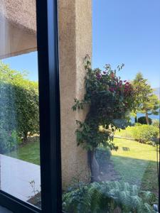 Increíble vista al mar