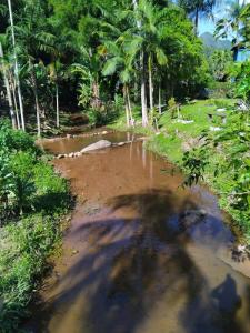Casa ponto de alegria!