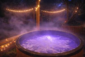 Osada Brzeziny - 25 minut od Warszawy - sauna, balia z jacuzzi, basen, altana, grill, ogród, ognisko