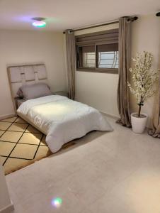 High-Standing Accommodations - Dalia , Tiflet