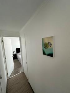 Departamento Bellavista