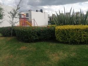 Estilo contemporaneo