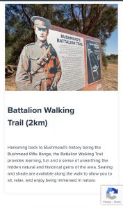 Welcome to Mr Lincoln