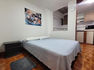 Apartamento Centenario