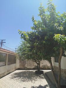 Lar Doce Lar Dona Menininha