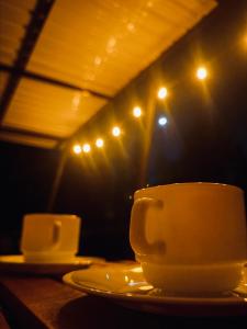 Sendero Nativo Glamping