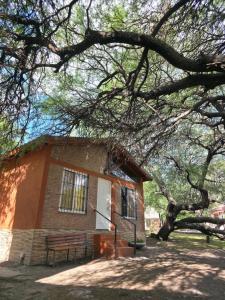 Los cuatro algarrobos