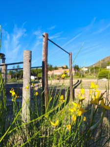 Casa del Sol Serrano