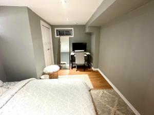 Beautiful walkout basement