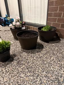 Luxury 5BR EstateEnsuites