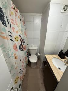 Vista a la cordillera a pasos de Barrio Italia