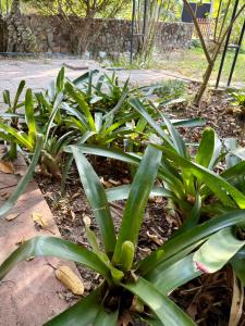 Mountain Wellness Retreat