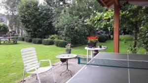 GUESTHOUSE vakantiehuis in een mooie tuin in het centrum van Zuidlaren!