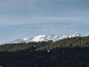 Appartement cosy à Courchevel 1650 - 4 personnes - FR-1-864-3