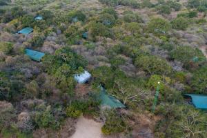 Wild Trails Yala by Suri