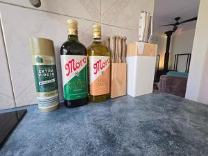 Gold Coast Hinterland Experience No ppl 8