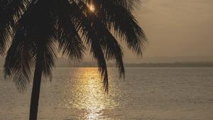 The Postcard on the Mandovi River, North Goa