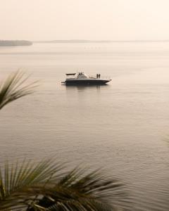 The Postcard on the Mandovi River, North Goa