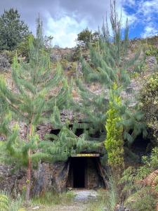 Entre Rocas y Cristales