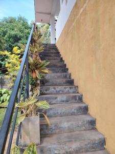 Parents Villa