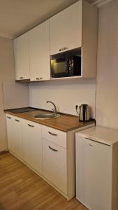 Bakuriani, room 538 Palace DeLuxe