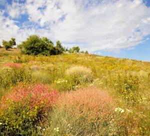 PERIQUiNA CASA RURAL CON ENCANTO