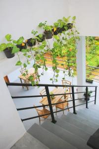 Bunty Villa Talalla