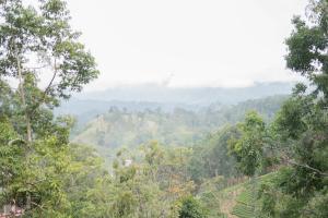 MaWilora Homestay Ella