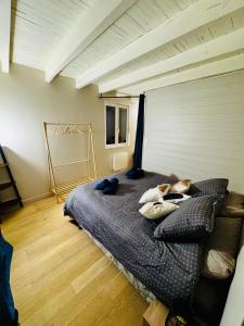 Maison de campagne avec piscine et charme poitevin