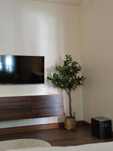 Tangerine Villa Patong