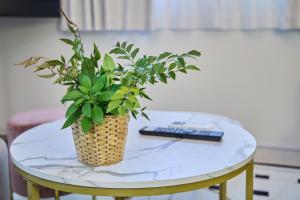 USJ BASE - Inclusive Night