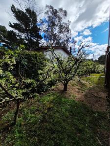 Se alquila en Valeria del Mar